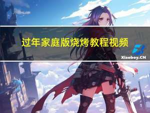 过年家庭版烧烤教程视频