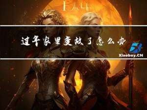 过年家里变故了怎么办英语