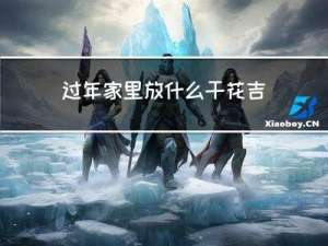 过年家里放什么干花吉利