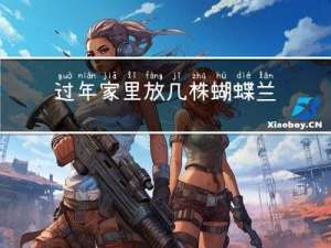 过年家里放几株蝴蝶兰