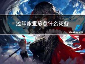 过年家里放点什么花好运