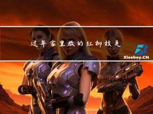 过年家里放的红柳枝是什么