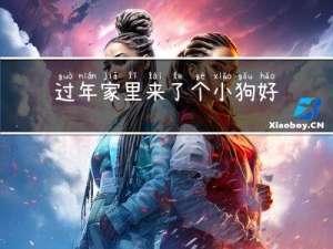 过年家里来了个小狗好吗