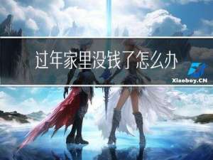 过年家里没钱了怎么办