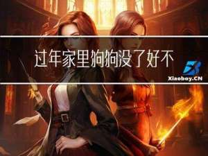 过年家里狗狗没了好不好
