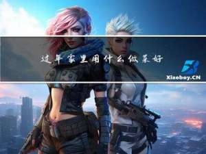 过年家里用什么做菜好