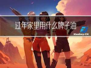 过年家里用什么牌子油烟机