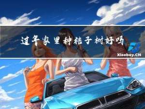 过年家里种桔子树好吗