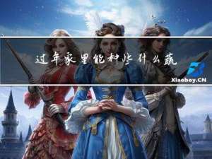 过年家里能种些什么蔬菜