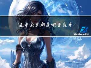 过年家里都是哪些花开放