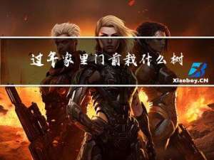 过年家里门前栽什么树好