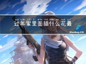 过年家里面插什么花最好