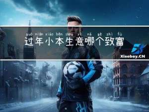 过年小本生意哪个致富