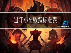 过年小车收费标准表