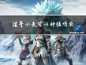 过年小麦可以种植吗农村