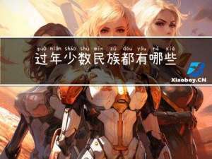 过年少数民族都有哪些
