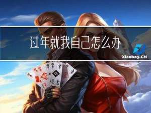 过年就我自己怎么办