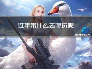 过年带什么去游玩呢