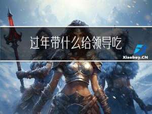 过年带什么给领导吃