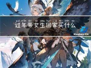 过年带女生回家买什么