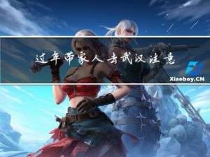 过年带家人去武汉注意什么