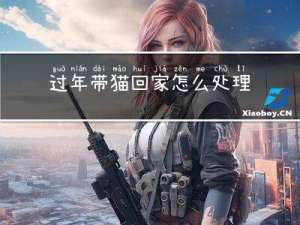 过年带猫回家怎么处理呢