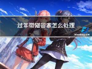 过年带猫回家怎么处理好