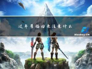过年带猫回来注意什么卫生
