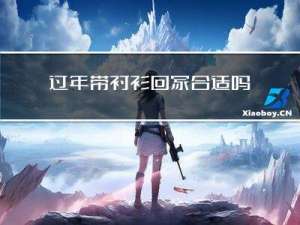 过年带衬衫回家合适吗