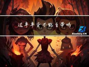 过年年货不能自带吗