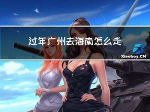 过年广州去海南怎么走