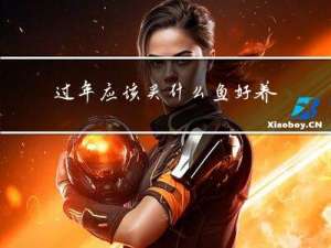 过年应该买什么鱼好养