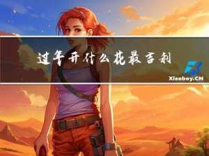 过年开什么花最吉利