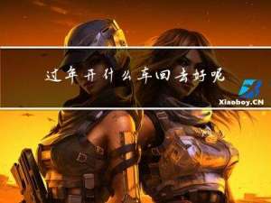 过年开什么车回去好呢