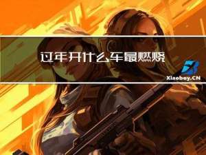 过年开什么车最燃烧