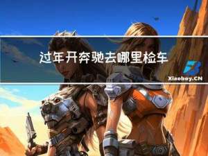 过年开奔驰去哪里检车便宜
