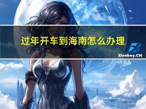 过年开车到海南怎么办理