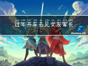 过年开车去见女友家长好吗