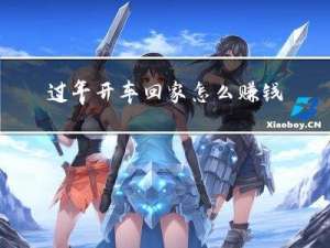 过年开车回家怎么赚钱的