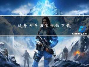 过年开车回家视频下载什么