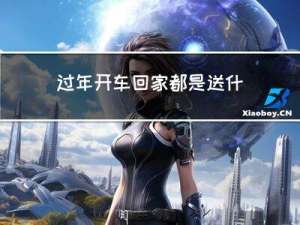 过年开车回家都是送什么