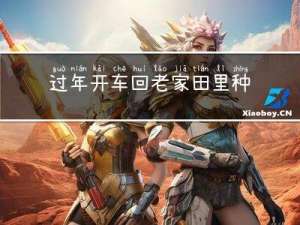 过年开车回老家田里种什么
