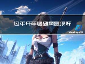 过年开车遇到黄鼠狼好吗