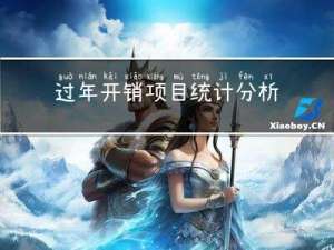 过年开销项目统计分析