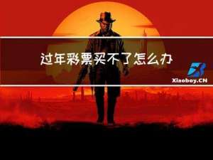 过年彩票买不了怎么办理