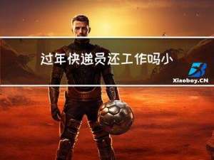 过年快递员还工作吗小说