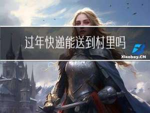 过年快递能送到村里吗