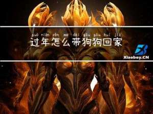 过年怎么带狗狗回家