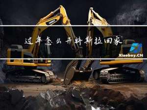 过年怎么开特斯拉回家充电