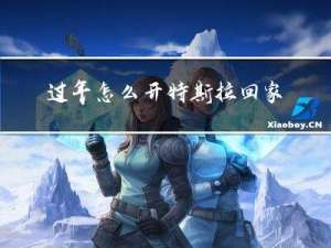 过年怎么开特斯拉回家门